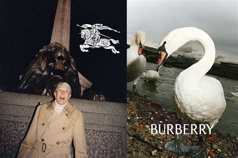 casting burberry|daniel lee burberry.